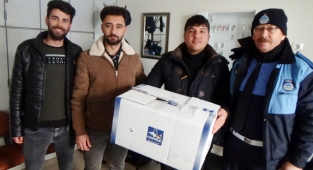 Yaralı kartalı donmaktan vatandaşlar kurtardı