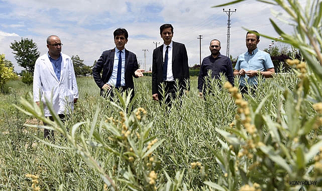“Sürdürülebilir hayvancılık için destekler devam edecek”