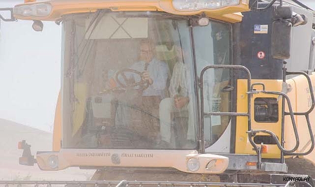 Selçuk Üniversitesi'nde hasat zamanı