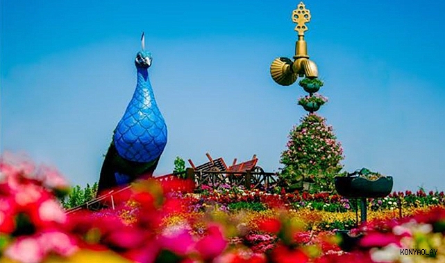 Selçuklu Çiçek Bahçesinde Düğün ve Hatıra Fotoğrafı Çekim Alanları