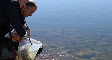Beyşehir Gölü'ne 2 milyon yavru sazan bırakıldı
