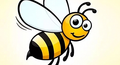 Bal hangi maddelerden oluşuyor?