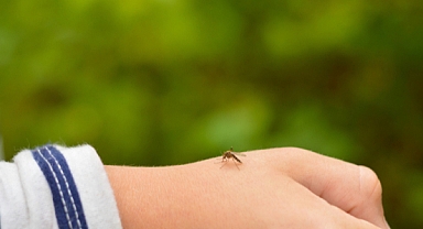 DANG Ateşi hastalığı