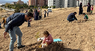 Yusuf Özdemir anısına hatıra ormanı