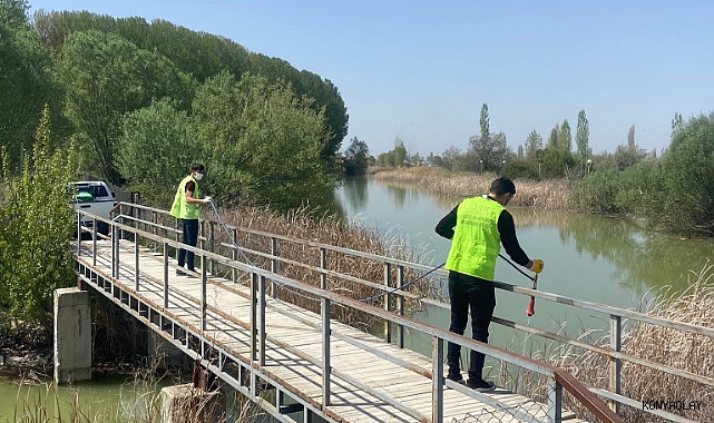 Ereğli Belediyesi haşere ile mücadele çalışmalarına başladı