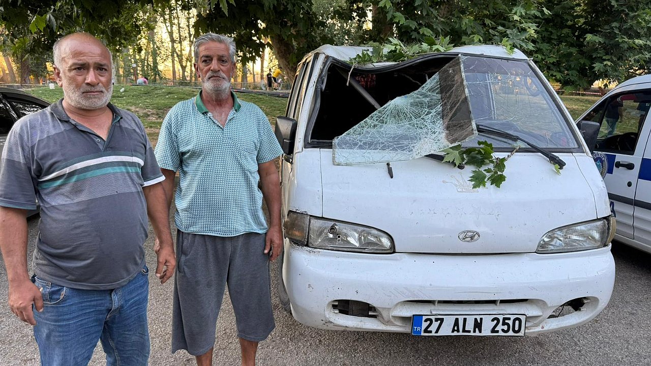 Ağacın kırılan dalı, piknik yapanların üzerine düştü: 11 yaral