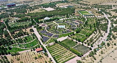 Dutlu Millet Bahçesi’nde ateşli piknik yasaklandı