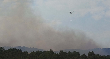Konya'da orman yangını! Tüm ekipler seferber oldu