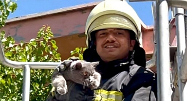 Mahsur kalan kedi, itfaiye ekiplerince kurtarıldı