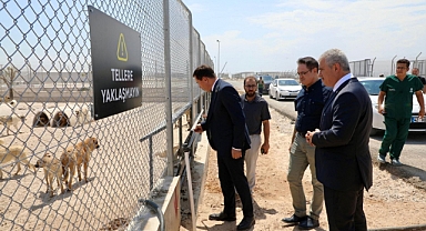 Vali Akın Karatay Hayvan bakım evini gezdi