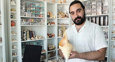 10 milyon deniz kabuğundan oluşan koleksiyon