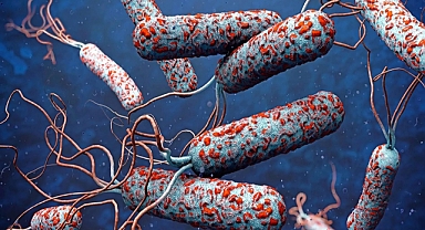 31 ülkede kolera alarmı