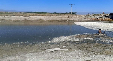 Hatay’da balık ölümleri dikkat çekiyor