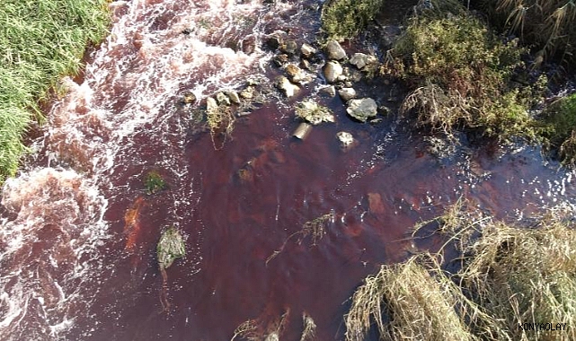 'Şifalı' denilen suya giren çift, hayatını kaybetti