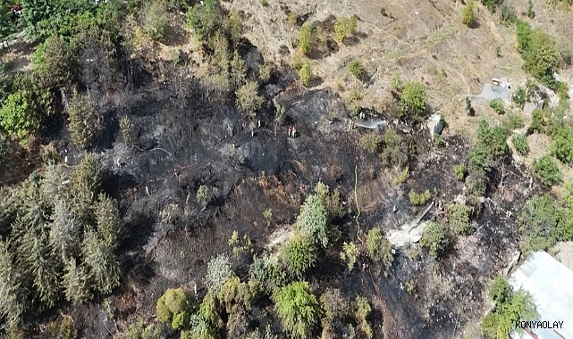 Kağıthane'de alev alev yanan ağaçlık alan küle döndü