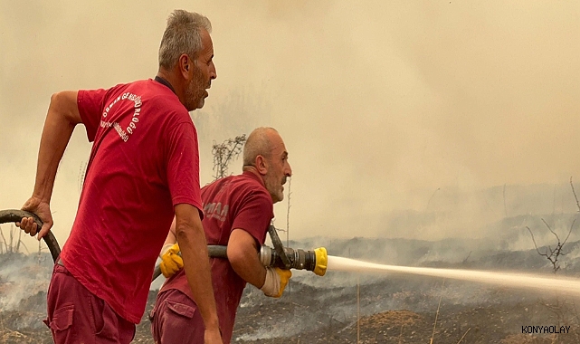 Karabük'te orman yangını: 2'nci gününde