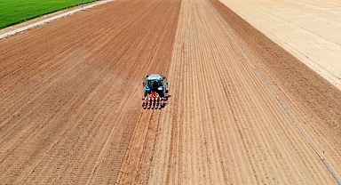 Hububat ekiminde 'uyguna bulduk derken’ rekolteden olmayın uyarısı