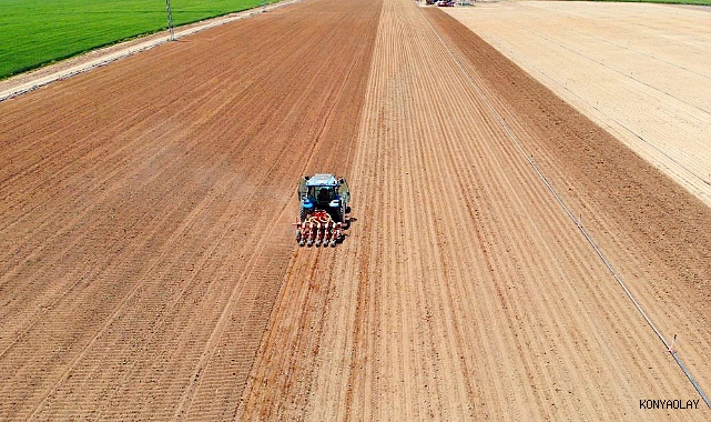Hububat ekiminde 'uyguna bulduk derken’ rekolteden olmayın uyarısı