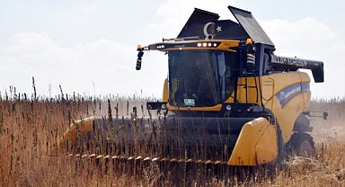 Konya Ovası’nda kenevir hasadı