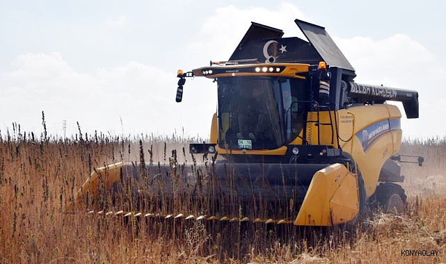 Konya Ovası’nda kenevir hasadı