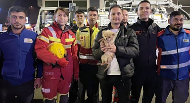 Köpek kurtarma operasyonu