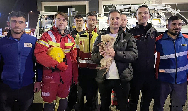 Köpek kurtarma operasyonu