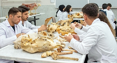 S.Ü. Veteriner Fakültesi'nde derslik ve laboratuarlar yenilendi