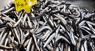 Tezgahlarda hamsi bereketi