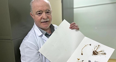 VANF Herbaryumu'nda safran koruma altında   