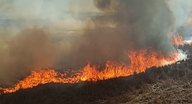 Beyşehir'de Sazlık yangını korkuttu
