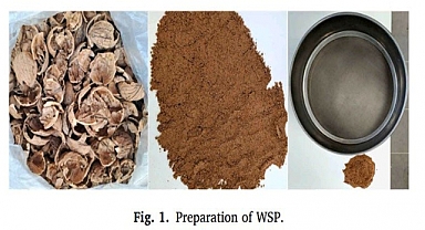 Ceviz kabuğundan asfalt üretimi yapıldı