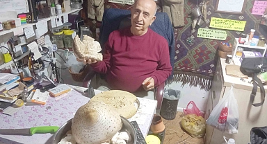 Dev mantar görenleri şaşırtıyor