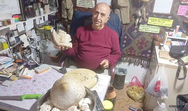 Dev mantar görenleri şaşırtıyor