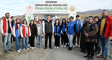 Hastaya kan, ormana can