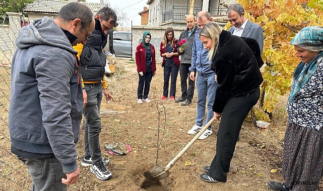 Sağlık hizmetinden yararlanan yaşlı hastalar adına fidan dikildi