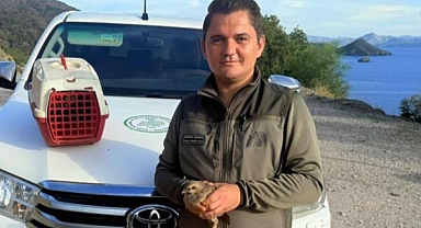 Yasadışı Kınalı Keklik satışına 28 bin TL ceza   