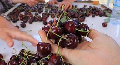 15 Aralık’ta okullarda “Coğrafi İşaret Günü” kutlanacak