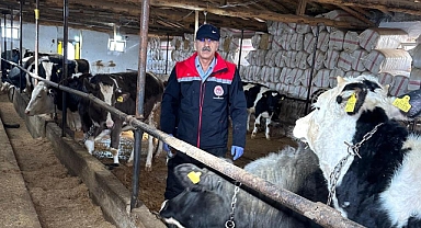 Beyşehir’de hayvancılık faaliyetleri yakın takipte 