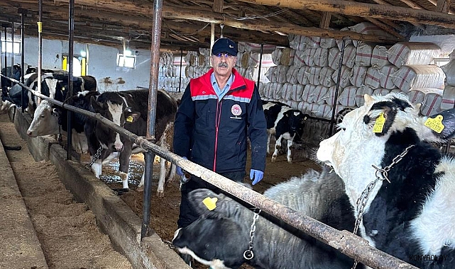 Beyşehir’de hayvancılık faaliyetleri yakın takipte