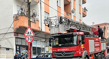 Beyşehir'de itfaiye merdiveni bu kez direğin tepesindeki kedi için uzatıldı 