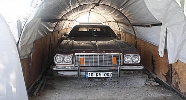 Bu serada sebze değil klasik araba yetişiyor