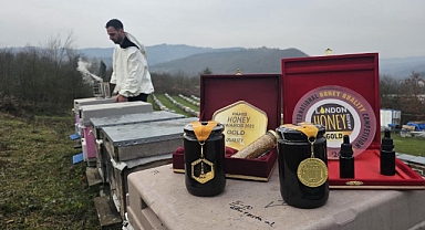 Dededen gelen arıcılığı profesyonelleştirdi, ürettiği bal dünyada zirveye çıktı 