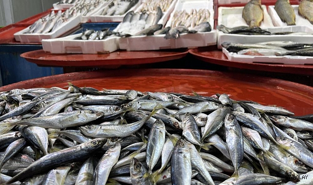 Geciken kış Konya'da balığı da vurdu