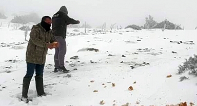 Halkapınar'da kar yağışı etkili oluyor