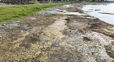 İznik Gölü kuruyor: Cargill’in yılda 1 milyon metreküpten fazla su çektiği ileri sürüldü