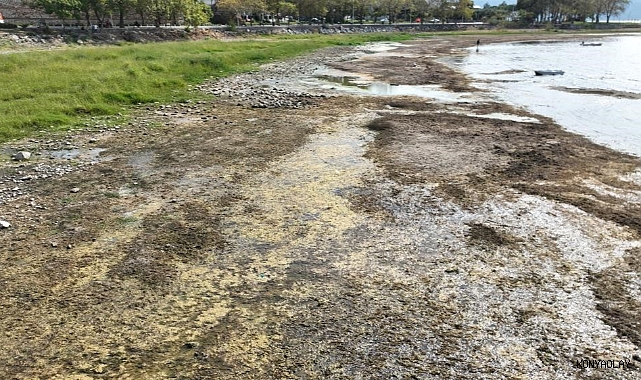 İznik Gölü kuruyor: Cargill’in yılda 1 milyon metreküpten fazla su çektiği ileri sürüldü