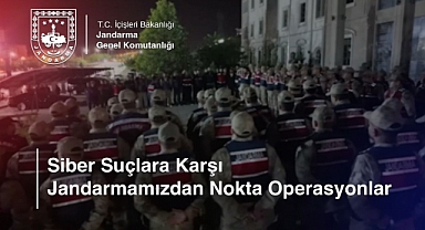 Jandarmadan 'Siber Dolandırıcılık' operasyonu: 54 tutuklu