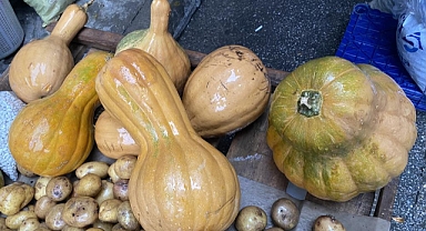 Kendisi ayrı, çekirdeği ayrı şifa kaynağı 