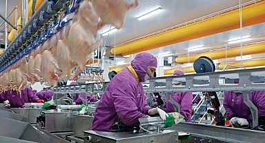 Son beş yılın üretim ve tüketim şampiyonu beyaz et