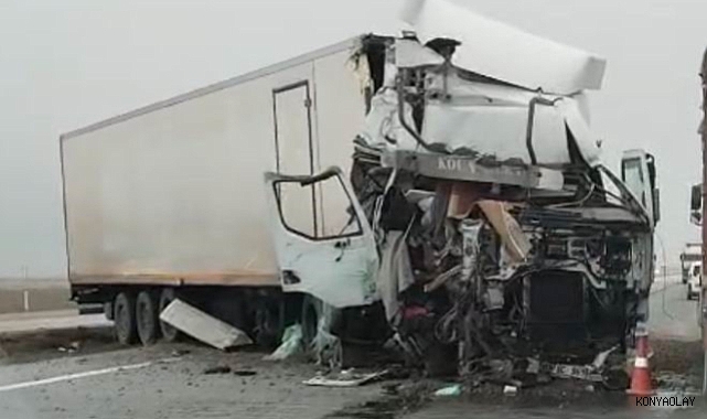 Tır yol kenarındaki tırın dorsesine çarptı: 1 yaralı